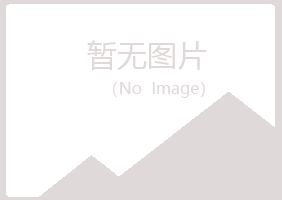 昌邑夏岚保险有限公司